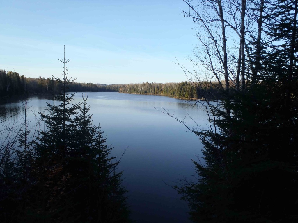 Violette Brook Reservoir