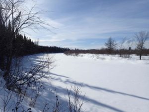 The frozen Moose River, winter 2015