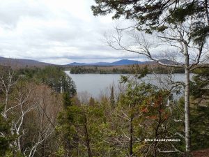 View from from lookout of nearly completed Prong Pond Trail in the Moosehead Lake region.