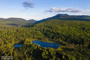 Aerial view of York Pond in Grafton Township, Maine and the surrounding forest.